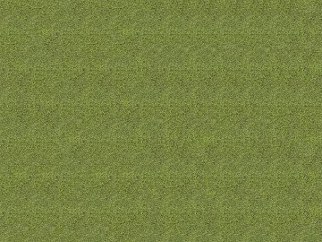 Grass Grass Slope Green Space Texture texture (ID:ffaeh078174)