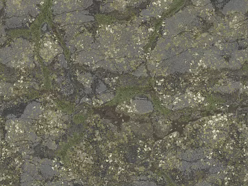 gray green moss rock outdoor ground texture (ID:ffaeh643276)