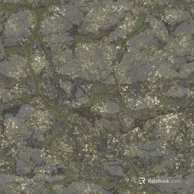gray green moss rock outdoor ground texture