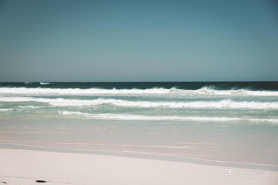 Wild Scenery texture