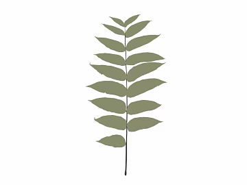 leaves texture (ID:ffabg22177)