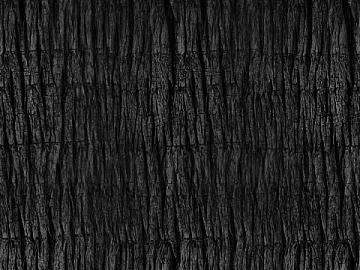 Black and White Bump texture (ID:ffacg30102)