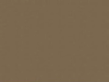 Curry Plain Wood Grain Interior Wall texture (ID:ffaeh358334)
