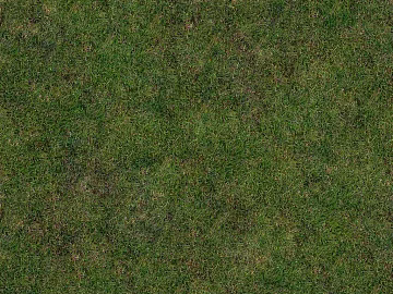 Turf texture (ID:ffabg56236)