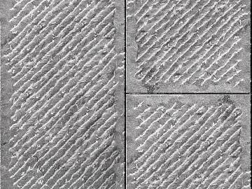 Stone Paving texture (ID:ffaeg69690)