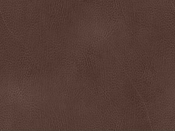 Dark Brown Fine-grain Leather Sofa Bag texture (ID:ffaeh013079)