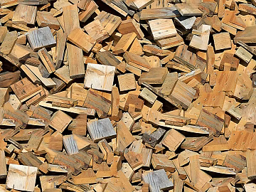 Wood Log Section Texture texture (ID:ffach719806)