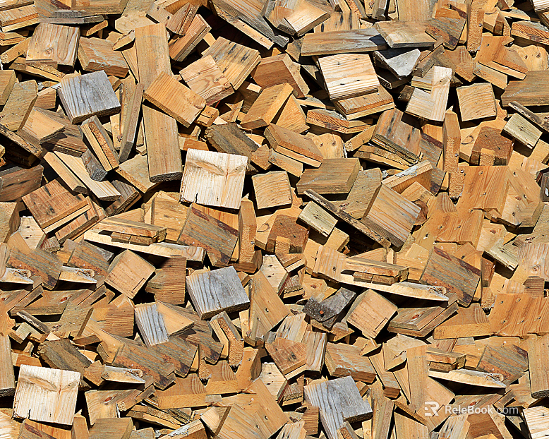 Wood Log Section Texture texture