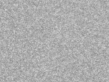 Coarse carpet texture (ID:ffadg54474)