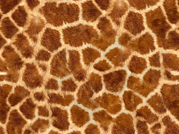 Animal Blanket texture (ID:ffajf4130)