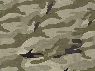 Camouflage texture (ID:ffajg59748)