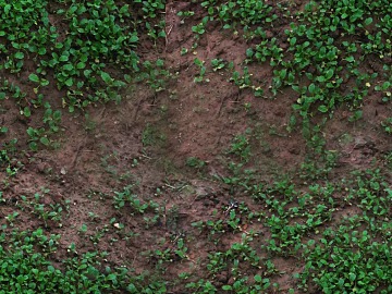 Turf texture (ID:ffaag42364)