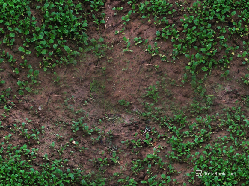 Turf texture