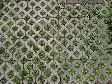 grass-planting brick texture (ID:ffaeg49363)