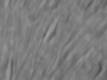 Black and White Bump texture (ID:ffajg41368)