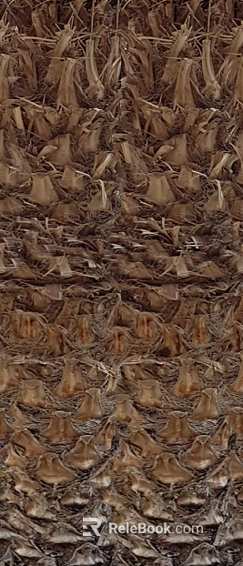 bark texture