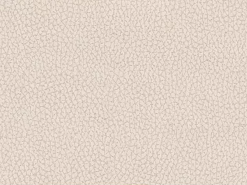 fine grain leather texture (ID:ffaeg50658)