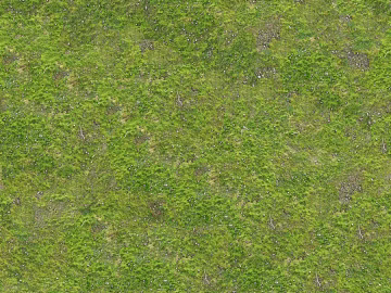 Turf texture (ID:ffajg72642)