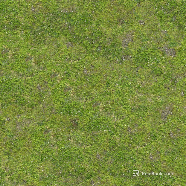 Turf texture
