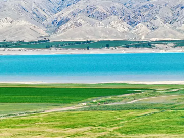 Wild Scenery texture (ID:ffajh250992)