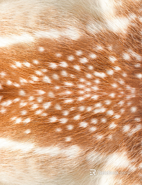 animal skin texture