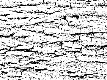 Black and White Bump texture (ID:ffaag45537)