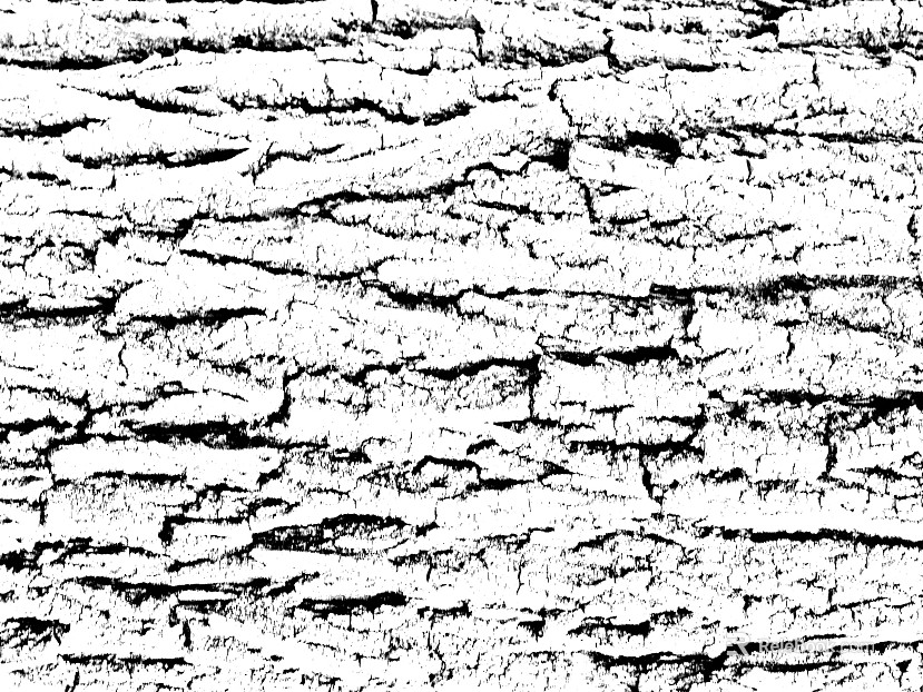 Black and White Bump texture