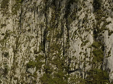 Rock texture (ID:ffach274706)