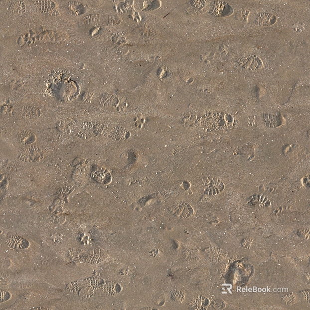 Beach Beach texture