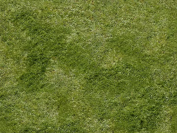 Turf texture (ID:ffach397526)