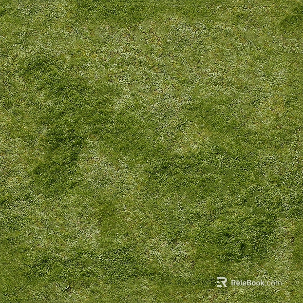 Turf texture