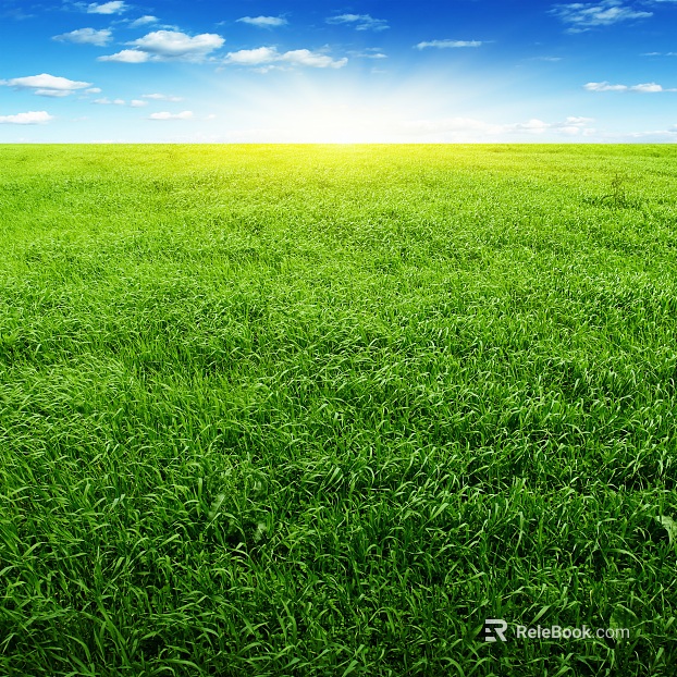 Grassland texture