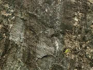 Rock texture (ID:ffagh568736)