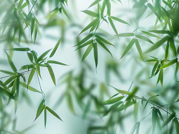 New Chinese bamboo background wall texture (ID:ffach794224)