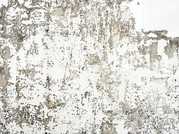 Cement wall Lime wall texture (ID:ffajg37027)