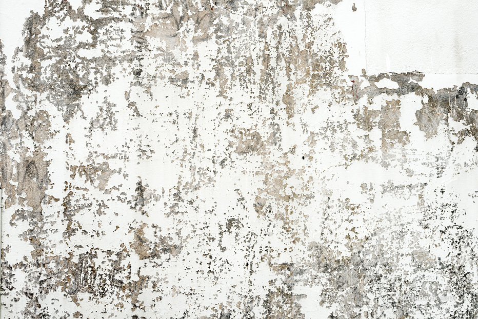 Cement wall Lime wall texture texture