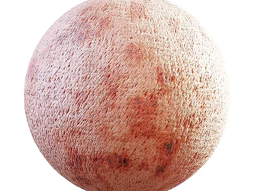 Biological PBR texture (ID:ffach759994)