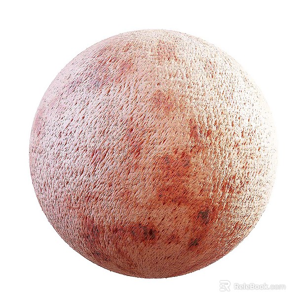 Biological PBR texture