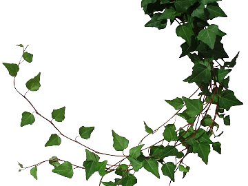 Plants texture (ID:ffagg85719)