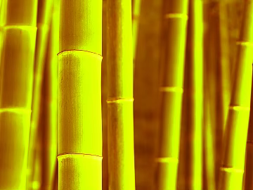 Bamboo texture (ID:ffabg38103)