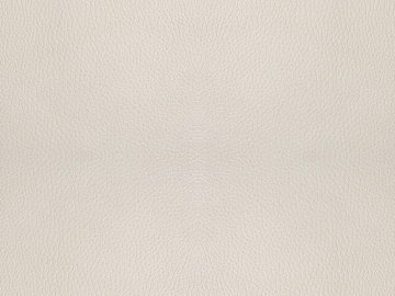 fine grain leather texture (ID:ffaaf6356)