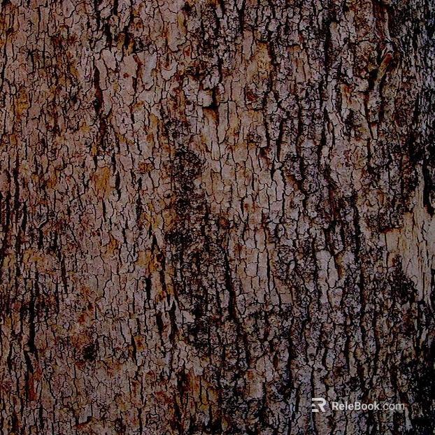 bark texture