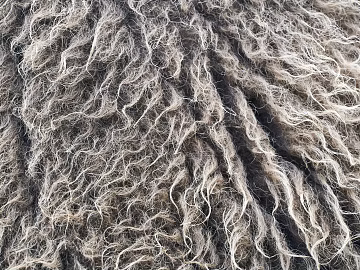 animal fur texture (ID:ffabg78129)