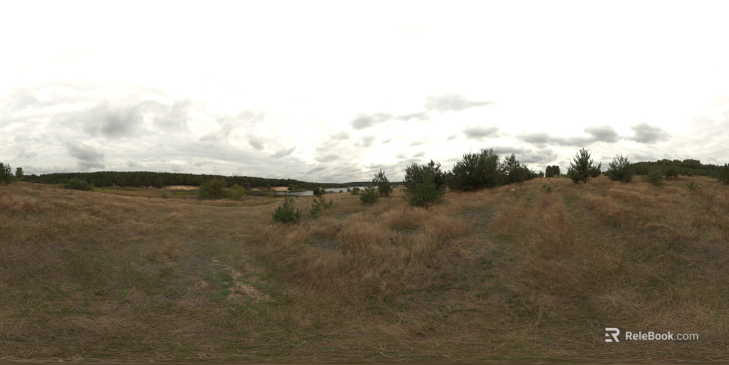 outdoor daytime grass hdr texture