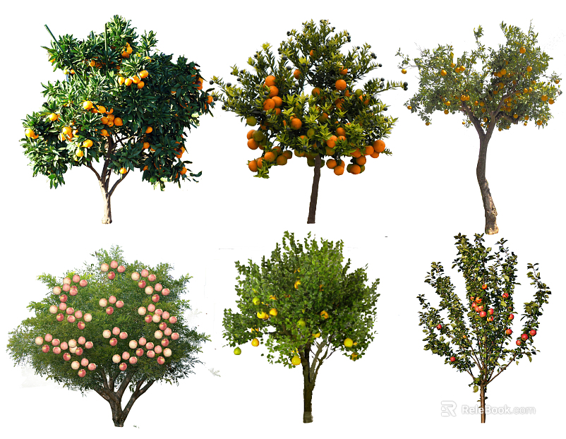 Plants texture