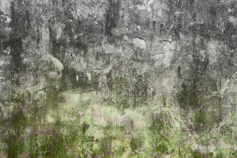 Cement wall moss white wall texture