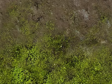turquoise moss outdoor ground texture (ID:ffaeh020689)
