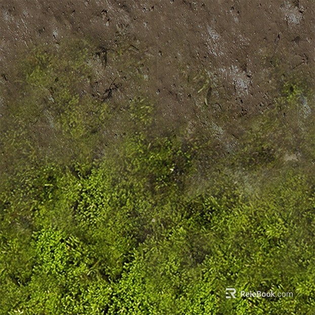 turquoise moss outdoor ground texture