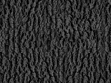 Black and White Bump texture (ID:ffaag11438)