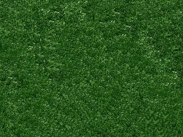 Moss 3d model
